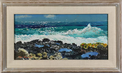Hawaiian Coast