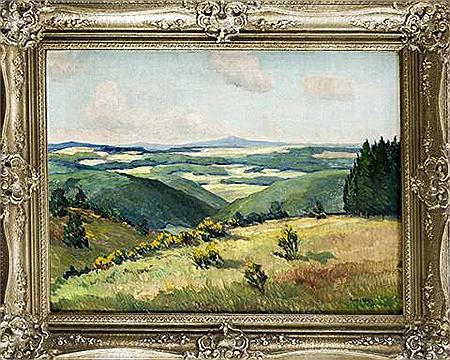 Ginsterblüte in der Eifel, weites Landschaftspanorama