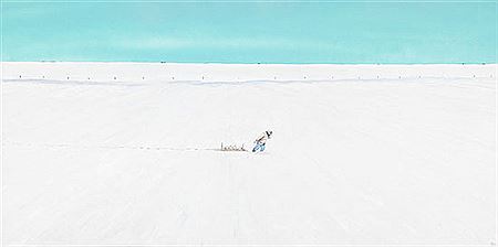Frozen Jack Rabbits