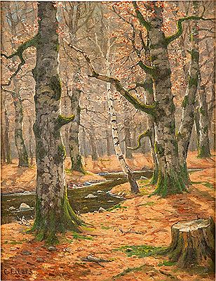 Im Birkenwald