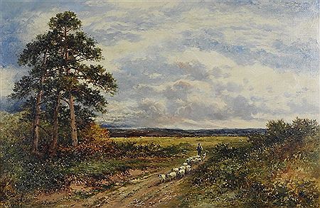 HAMBLEDON COMMON, SURRE