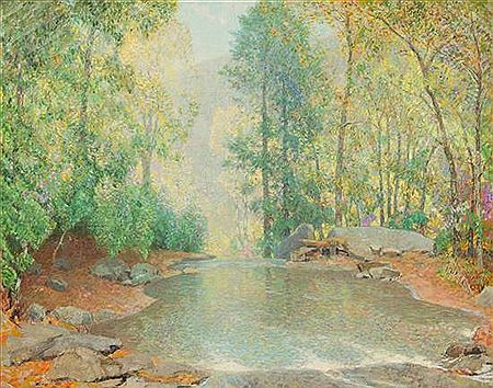 Forest Landscape