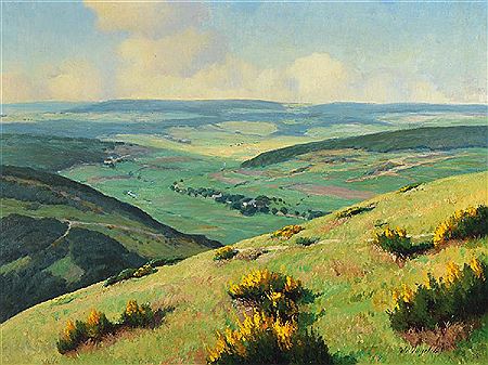 Burs in further landscape