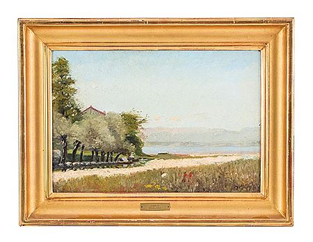 Lake Landscape