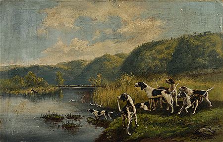 Meute de chiens de chasse