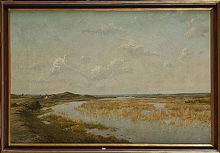 "Paysage marécageux".