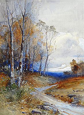 Country Road, Waikanae