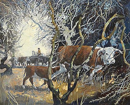 Herefords in Matagouri