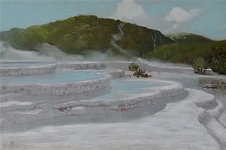 The Hot Water Basins, Rotomahana Terraces