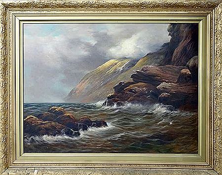 Otago Coast