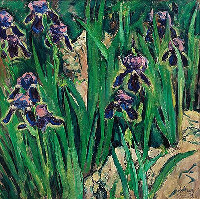 Schwertlilien, 1911/14 by Kolomann Moser - Auction record, sale price, and art valuation. Compare with similar artists and explore comparable artworks.