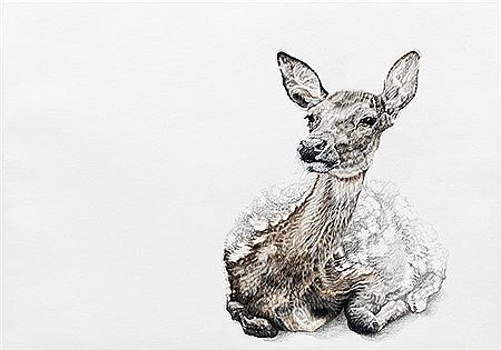 Deer by Ramona Schnekenburger - Auction record, sale price, and art valuation. Compare with similar artists and explore comparable artworks.