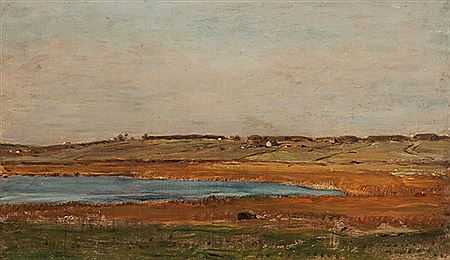 Expansive Summer Landscape