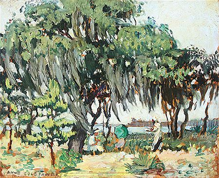 Outdoor Southern Scene with Spanish Moss Covered Trees