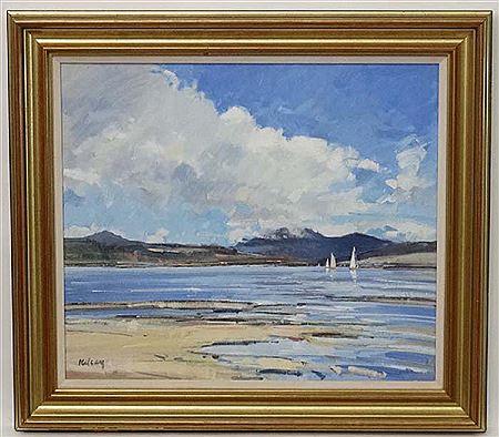 'The Dark Cuillins '
