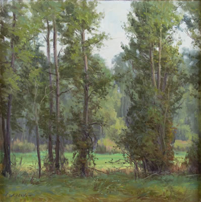 Sunlit Glade
