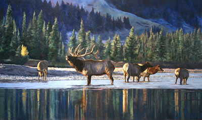 Call of the Wild by Linda Besse - Auction record, sale price, and art valuation. Compare with similar artists and explore comparable artworks.