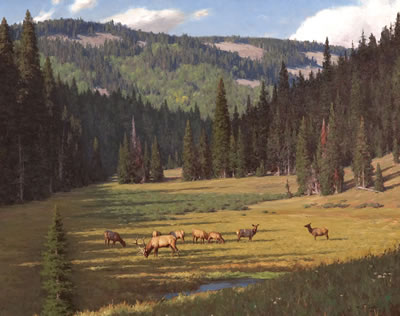 Packer Creek by Tucker Smith - Auction record, sale price, and art valuation. Compare with similar artists and explore comparable artworks.