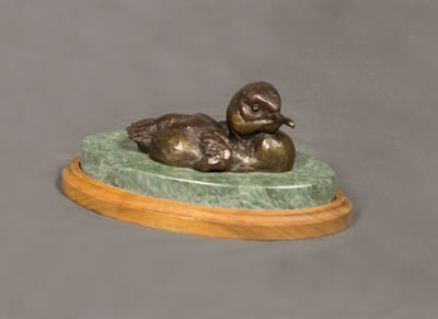 Merganser Duckling