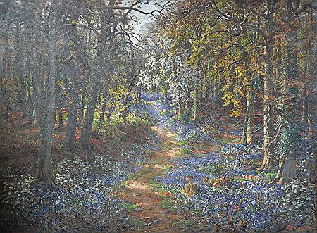 BLUEBELL TIME