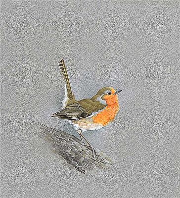 ROBIN