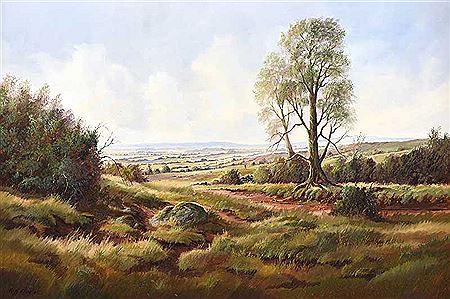 BALLYCOTTON, DOWNPATRICK