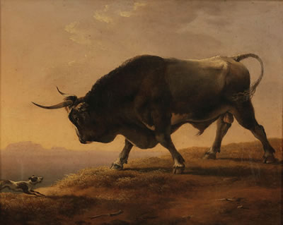 Italian landscape with bull