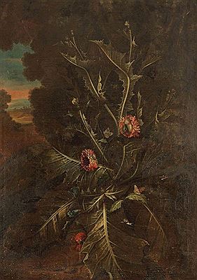 Waldbodenstillleben mit Distel