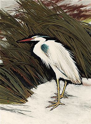 Black-Crowned Night Heron by NoSoo Park - Auction record, sale price, and art valuation. Compare with similar artists and explore comparable artworks.