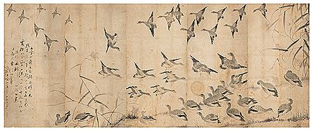 Geese