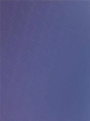 „Der fünfte Gedanke an Sam Francis“