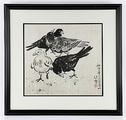 Birds