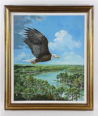 "Eagle Over St. James River"