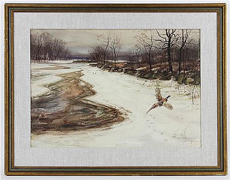 Pheasant in flight