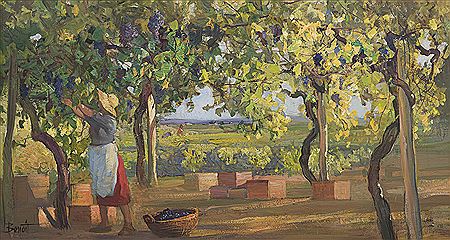 Picking Grapes