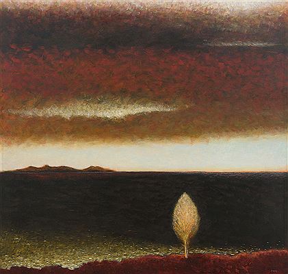 Solo Tree, Strzelecki's Flinders Island