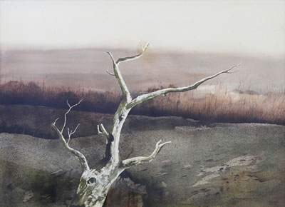 Tree by Steve Santos - Auction record, sale price, and art valuation. Compare with similar artists and explore comparable artworks.