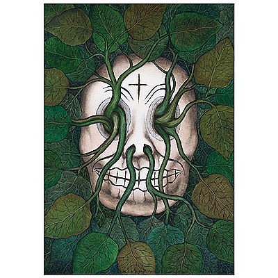 Muerte - Vida