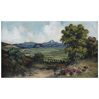 Valle de México by Marco Antonio Zepeda - Auction record, sale price, and art valuation. Compare with similar artists and explore comparable artworks.