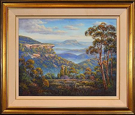 Kanangra Valley Vista