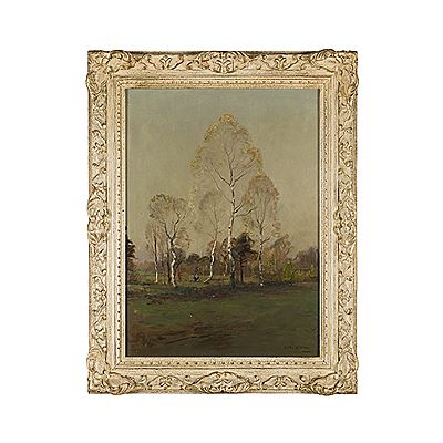 BIRCH TREES