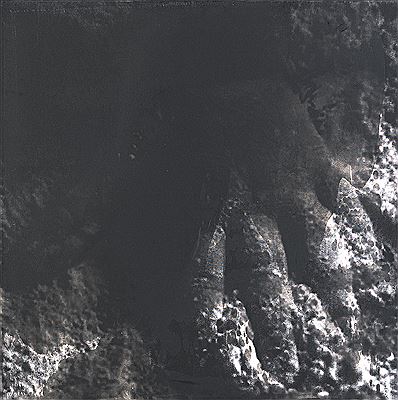 Hand I 2001 & Hand III, 2009 (diptych)
