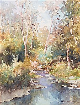 Bush Creek Grampians