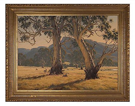 Summer Light in the Grampians