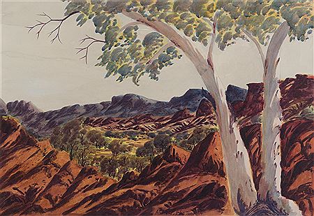 Ghost gum and MacDonnell Ranges