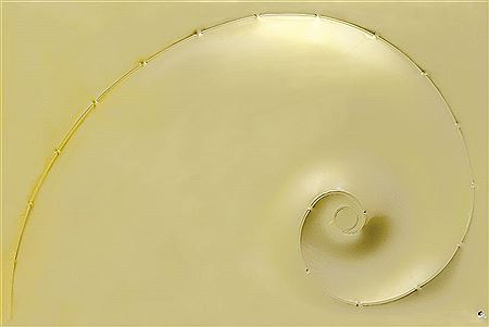 Untitled, 2008