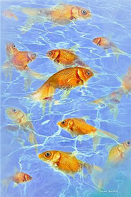 ''Fluid Color'' by Yankel Ginzburg - Auction record, sale price, and art valuation. Compare with similar artists and explore comparable artworks.