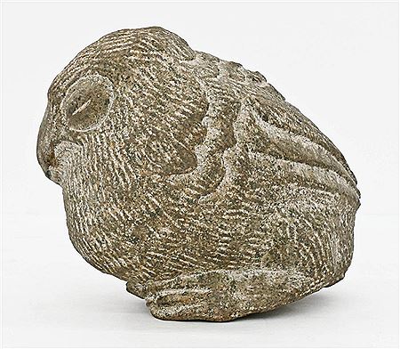 Resting Bird