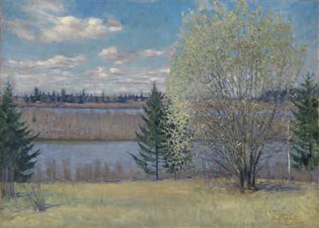 Willow in Bloom