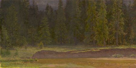 By the Dark Forest